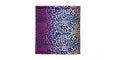 Cheetah/Navy Neck Gaiter